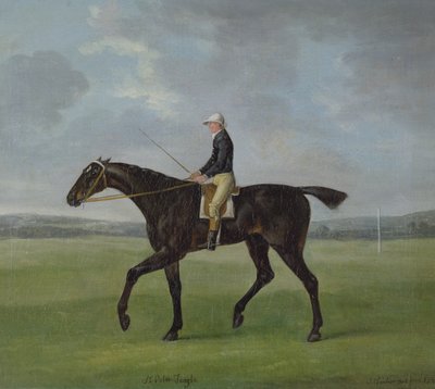 「ピーター・ティーズル卿」、1788 作： John Nott Sartorius